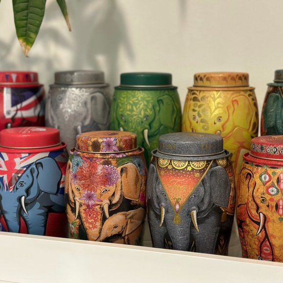 Meet your Posher, Rumeena - Picture 8 of 15